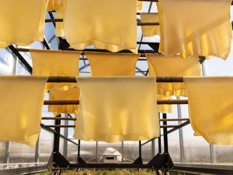 RSS sheets air-drying on racks during production
